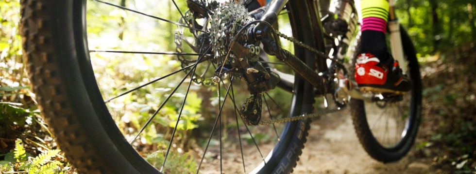 mtb.jpg