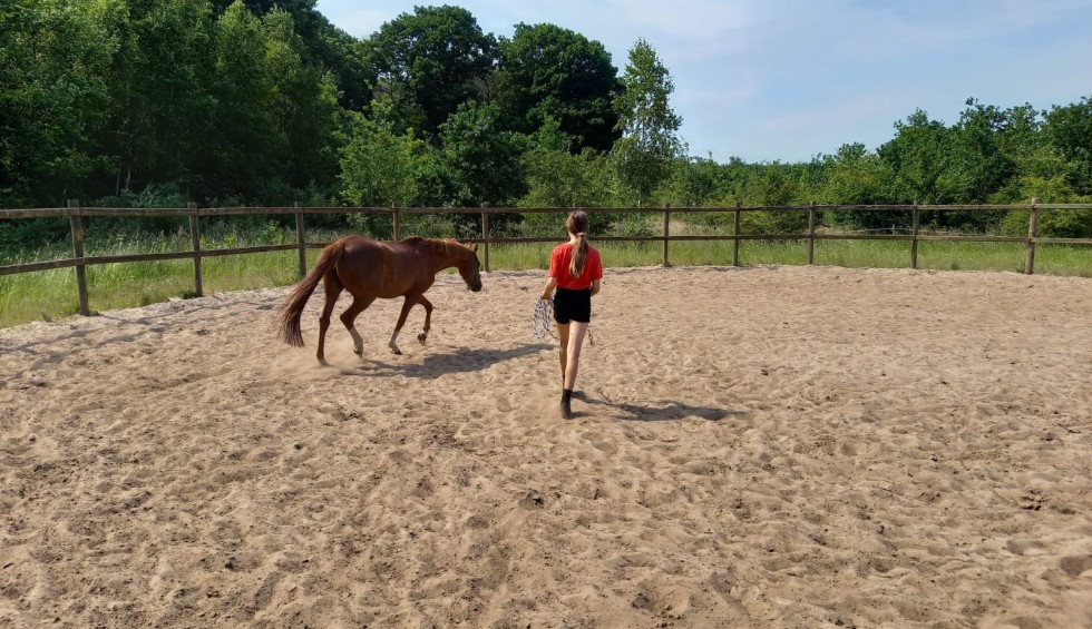 grondwerk Fleur I.jpeg