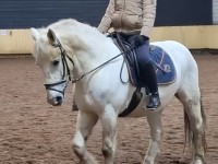 Olaf 2